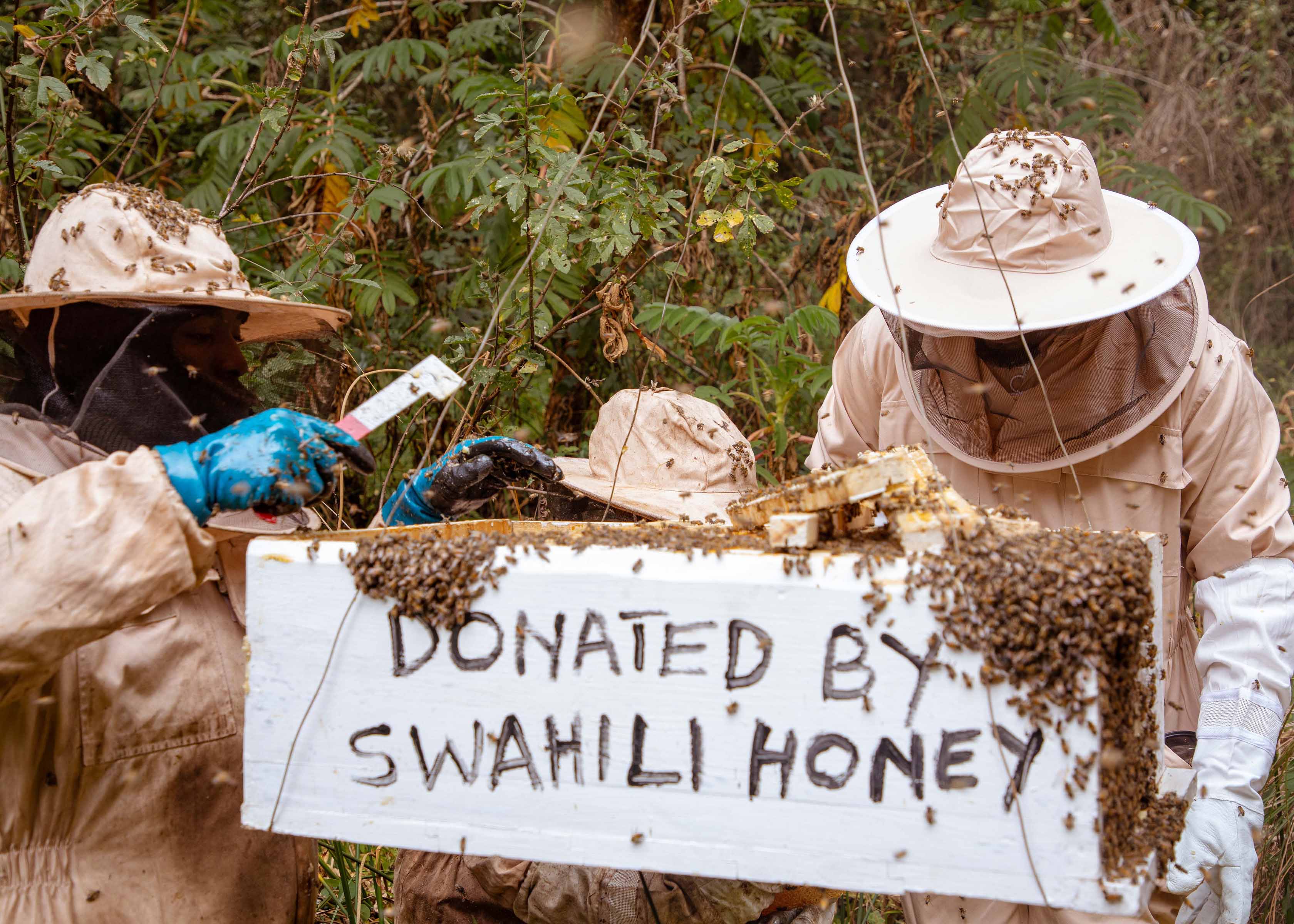 Tanning our local farmers how to install their beehives